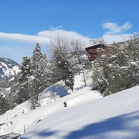 Alpine Cottage With Exceptional View مايرهوفن المظهر الخارجي الصورة