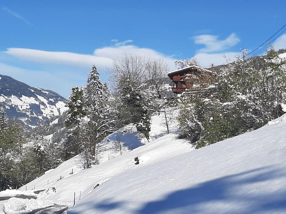 Alpine Cottage With Exceptional View مايرهوفن المظهر الخارجي الصورة