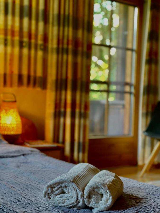 Alpine Cottage With Exceptional View مايرهوفن المظهر الخارجي الصورة